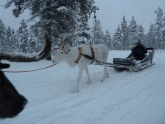 Lapland